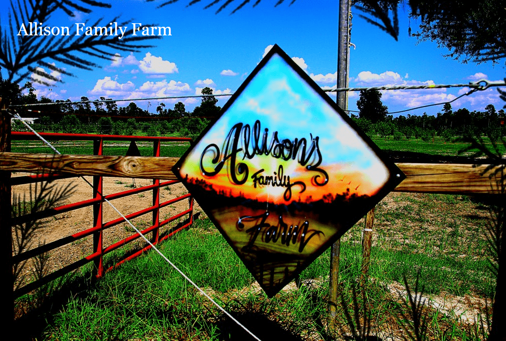 Allison Family Farm