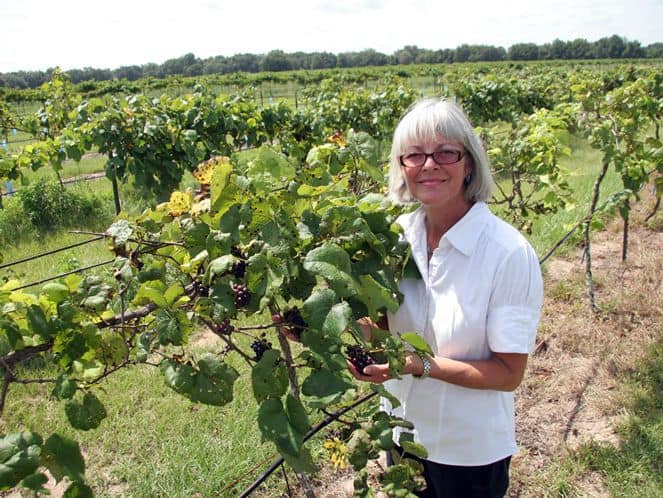 Strong Tower Vineyard & Winery