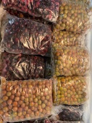 Frozen Muscadine Grapes